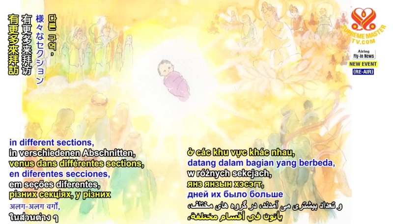 อนุตราจารย์ชิงไห่: การกำเนิดและแสงสว่าง