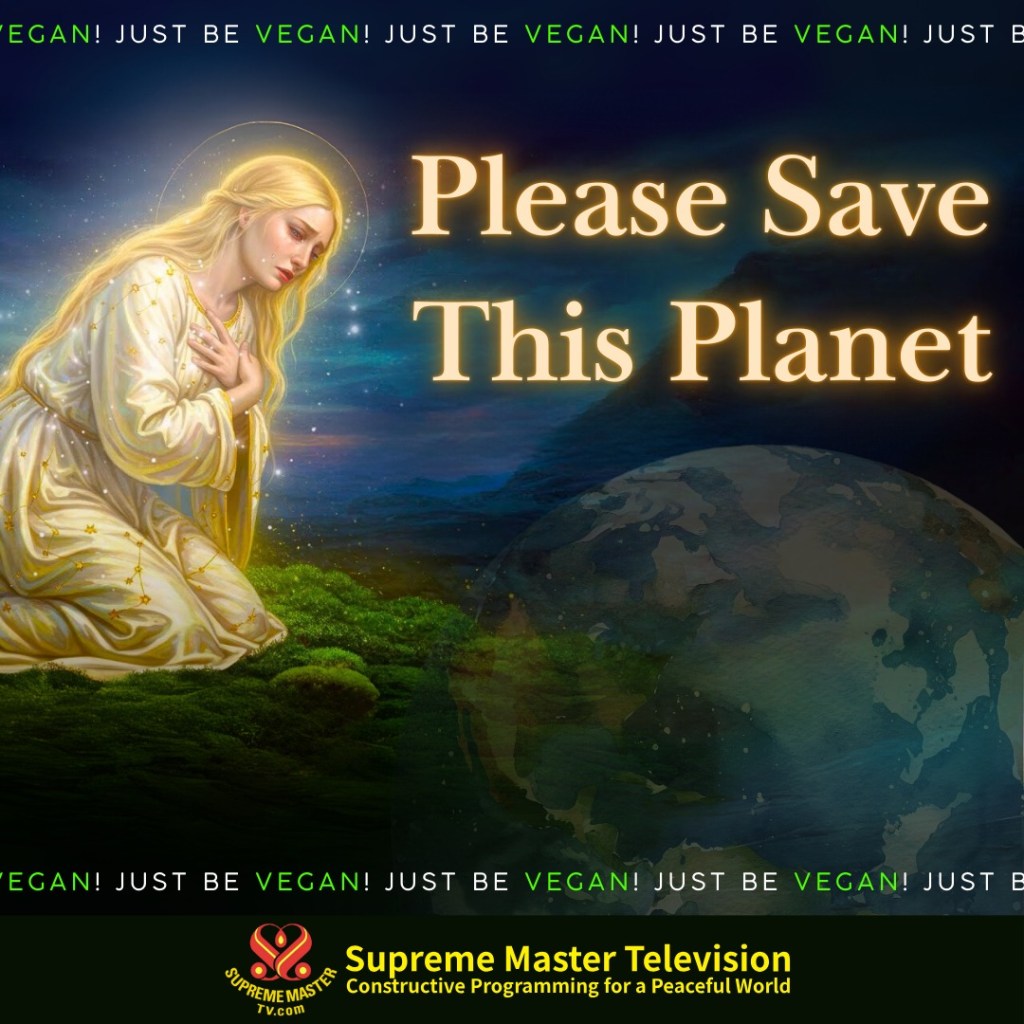 ได้โปรดช่วยรักษาดาวเคราะห์โลกนี้ด้วย